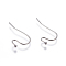 Tarnish Resistant 304 Stainless Steel Earring Hooks, Stainless Steel Color, 21x12x0.7mm