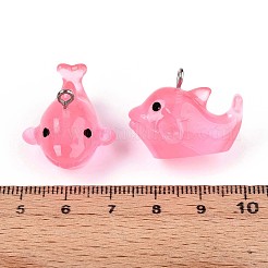 Подвески из светящейся полупрозрачной смолы&nbsp;LS-RESI-SZC0004-08A