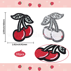 30 шт. Компьютеризированная вышивка ткань утюгом / пришить патчи&nbsp;PATC-CY0001-23