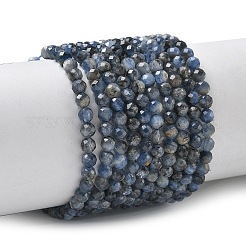 Натуральные нити из кианита / цианита / дистенового бисера&nbsp;G-L651-C02-4mm