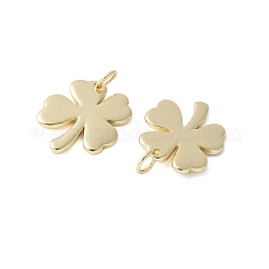 Латунные подвески&nbsp;KK-F892-13G