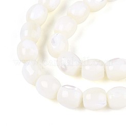 Нити бусин из натуральных трохоидных/трохус ракушек SSHEL-N040-09