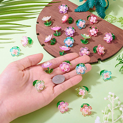 30шт 5 цвета прозрачные акриловые подвески&nbsp;PALLOY-TA00303