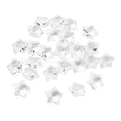 Прозрачные стеклянные подвески&nbsp;X-GLAA-P037-04-16