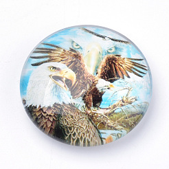 Магниты на холодильник&nbsp;GGLA-Q051-50mm-019