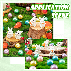 8 шт. 4 стиля украшения для демонстрации кроликов из смолы&nbsp;DJEW-SP0001-11