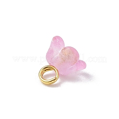 60 шт. 12-х цветные матовые акриловые цветочные подвески PALLOY-JF03550