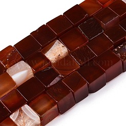 Бусины из натурального красного агата (окрашенные и нагретые)&nbsp;G-T139-8x8-35A