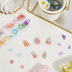 1 набор из 12 сетчатых наггетсов в виде ракушек-морских ушек для нейл-арта для женщин и девочек&nbsp;MRMJ-SP0001-06