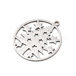 Рождество 201 подвески из нержавеющей стали&nbsp;STAS-C156-01F-P