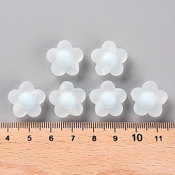 Прозрачные акриловые бусины&nbsp;TACR-S152-09C-10