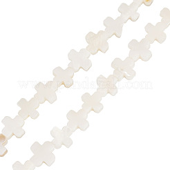 1 нить бусины из натуральных пресноводных ракушек&nbsp;SSHEL-TA0001-19