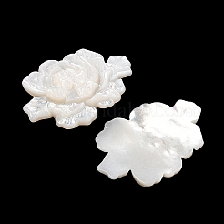 Резные кабошоны из натуральной белой ракушки SSHEL-I026-15
