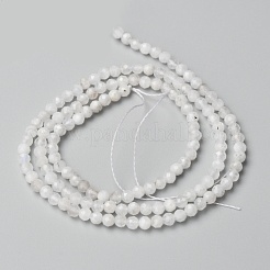 Бусины из натурального радужного лунного камня G-O186-D02-01