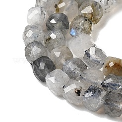 Природные лабрадорита бисер нитей&nbsp;G-D358-A01