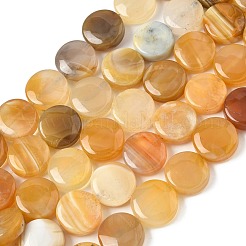 Натуральные бусины из желтого ботсванского агата G-F790-H04-04
