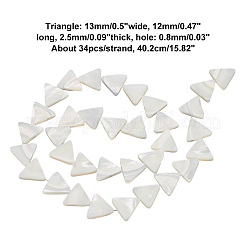 1 нить натуральных ракушечных бусин&nbsp;BSHE-BC0001-13