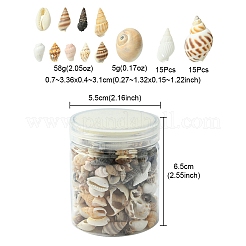 12 стили натуральные смешанные бусины из ракушек SSHEL-YW0001-05