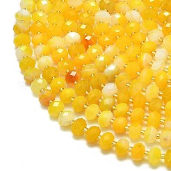 Натуральные полосатые агатовые бусы&nbsp;G-P573-A13-01