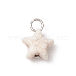 Хрустящие непрозрачные акриловые подвески&nbsp;PALLOY-JF03924