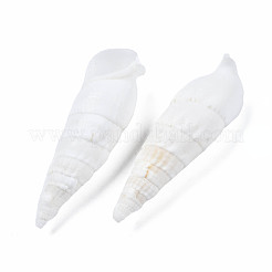 Бусины из натуральных трохоидных/трохус ракушек SSHEL-N034-116