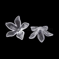 Прозрачные колпачки акриловая бисера&nbsp;TACR-G050-04A