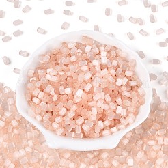 Стеклянный бисер в стиле волочильного станка&nbsp;SEED-N008-10B