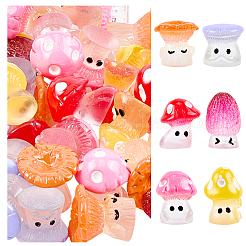 48шт 6 стиля непрозрачные кабошоны из смолы&nbsp;RESI-CN0001-02