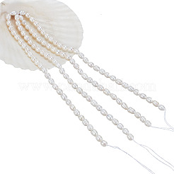 2 нить бусин из натурального культивированного пресноводного жемчуга PEAR-NB0002-55