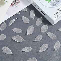 100 шт. сушеные цветы и листья&nbsp;AJEW-CP0009-41B