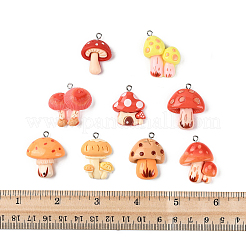 32шт 9 стиля подвески из смолы&nbsp;RESI-FS0002-30