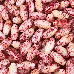 Выпечка краска стеклянные бусины&nbsp;SEED-N008-06C