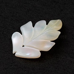 Подвески из натуральной морской раковины SSHEL-K001-002