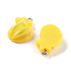 Подвески из непрозрачной смолы&nbsp;RESI-S013-02I