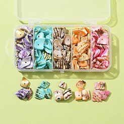 125 г 5-х цветов натуральных бусин-ракушек&nbsp;BSHE-FS0001-06A