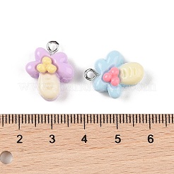 Подвески из непрозрачной смолы&nbsp;MACR-P043-N05