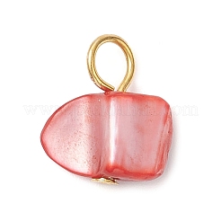 Подвески из натуральных окрашенных морских ракушек&nbsp;PALLOY-JF04307-02