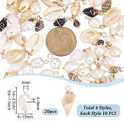 20 шт. натуральный культивированный пресноводный жемчуг и 60 шт. наборы фурнитуры из натуральных ракушек 6 стилей&nbsp;PALLOY-PH01891