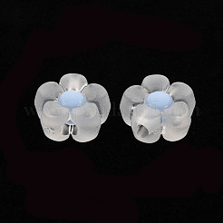 Прозрачные акриловые бусины X-TACR-S152-06C