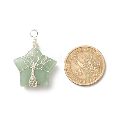 Природные и синтетические Gemstone подвески PALLOY-JF01635