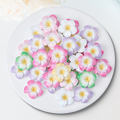 Кабошоны из непрозрачной смолы в виде цветка плюмерии&nbsp;CRES-BM0001-01B