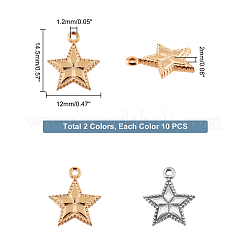 20 шт. 2-х цветные подвески из нержавеющей стали 304&nbsp;FIND-DC0001-13