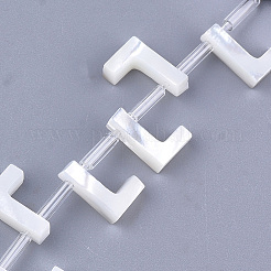 Бусины из морских раковин&nbsp;LS-X-SHEL-T012-60L