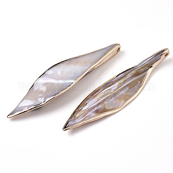 Естественных пресноводных оболочки большие кулоны X-SHEL-R047-04