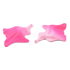 Распыленные окрашенные железные подвески IFIN-N008-028D