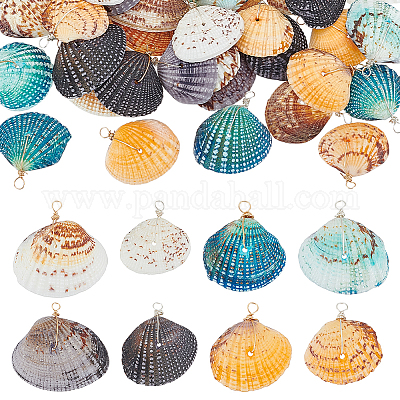 40 шт. Подвески из натуральных ракушек PALLOY-ME00020-1