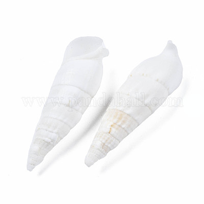 Бусины из натуральных трохоидных/трохус ракушек SSHEL-N034-116-1