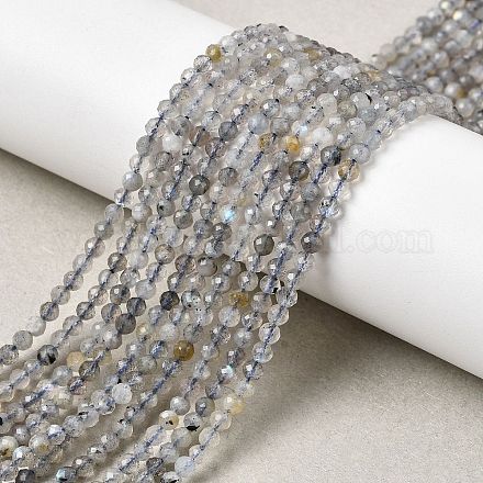 Природные лабрадорита бисер нитей&nbsp;LS-G-RM250104-E8-1