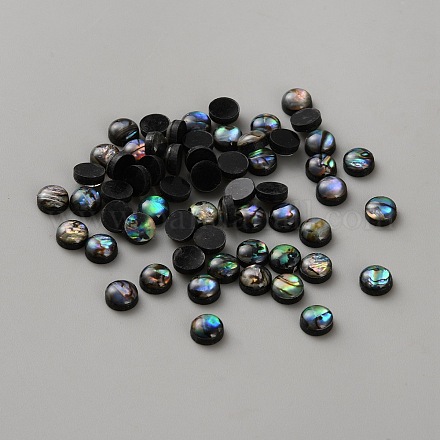 Естественно Ракушка Пауа кабошоны SHEL-WH0012-001-1