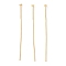 Brass Flat Head Pins, Real 18K Gold Plated, 35.5x0.6mm, Head: 2mm